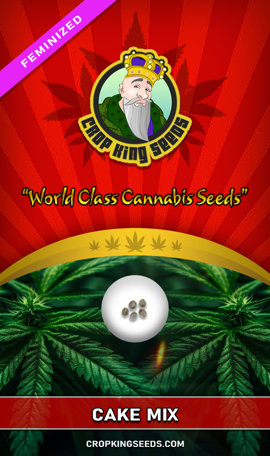 Cake Mix Strain Feminized