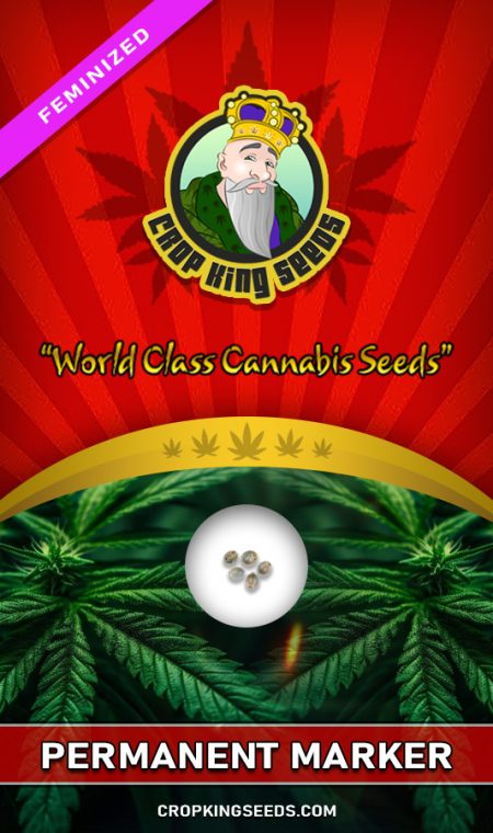 Permanent Marker Strain Feminized