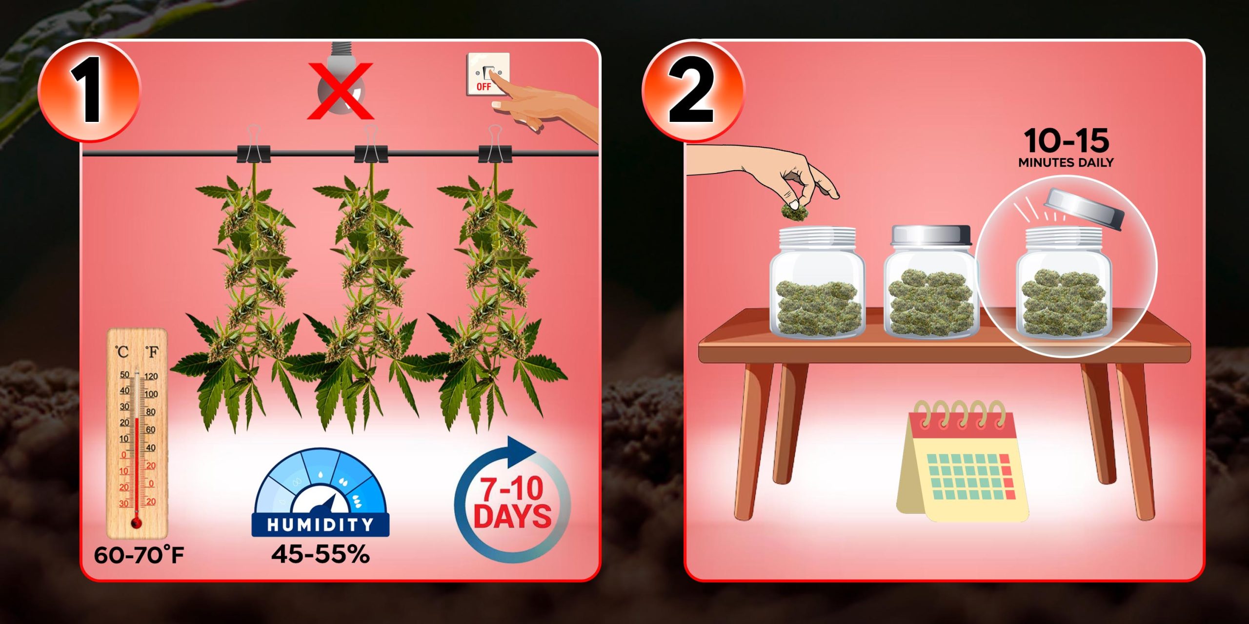 Drying and Curing 1 - 2